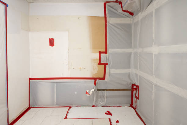 Best Emergency Mold Remediation  in Darmstadt, IN